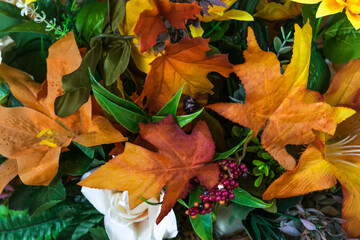 Obraz premium autumn leaves background