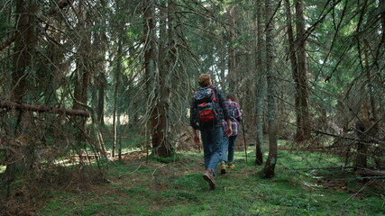 Obraz premium Smiling hikers walking in forest. Couple of tourists trekking between trees