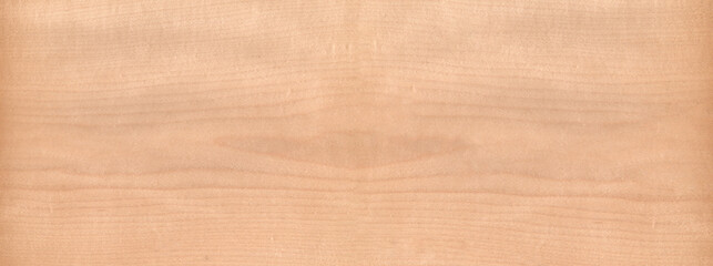 maple, Brown color wood wall material burr surface texture background Pattern Abstract wooden, top view scene