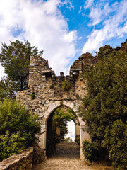 Fototapeta premium ruins of the castle