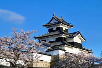 春の小峰城（福島県・白河市）