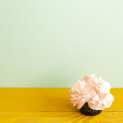 Fototapeta na wymiar Vase of carnation flowers on wooden table. green background