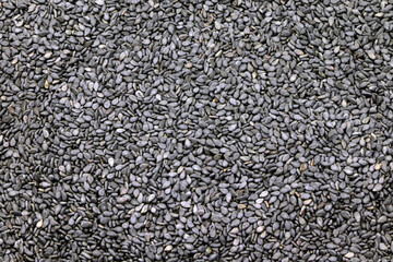 Seeds of black sesame background. Unpeeled sesame seeds. Healthy food. Nature vitamins. Vegan foods.Raw seeds of sesame