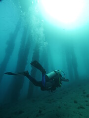 A scuba diver diving underwater near an underside pier with sunlight in the water.