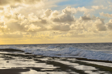 beach in the morning