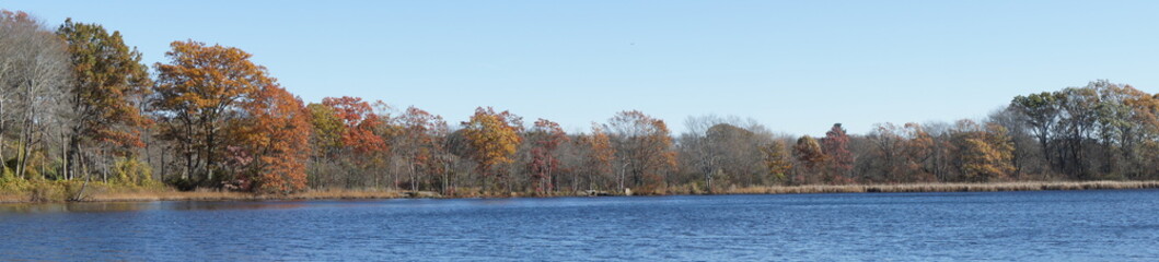 Fototapeta premium Panorama of Kendrick Pond in Cutler park, Newton MA in Autumn