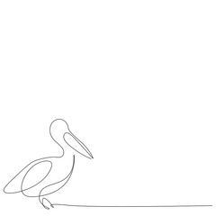 Pelican bird line drawing vector illustration