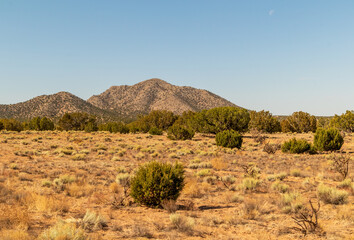 Scenic desert landscape on the Turquoise Trail near Albuquerque, New Mexico. © Faina Gurevich