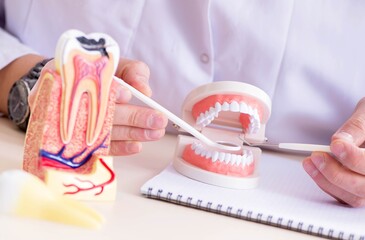 Fototapeta na wymiar Dentist working teeth implant in medical lab