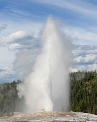 Fototapeta na wymiar The amazing natural beauty of Yellowstone National Park.