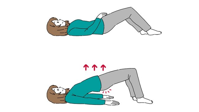 骨盤底筋 の画像 731 件の Stock 写真 ベクターおよびビデオ Adobe Stock