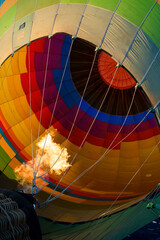 Obraz premium Hot in here