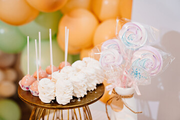  sweet treats for children's party or party, marshmallows and cake pops