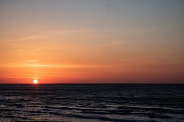 Beautiful sunset on the sea and many birds