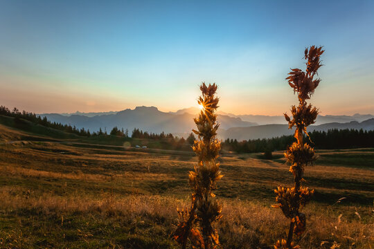 Cr&eacute;puscule d'&eacute;t&eacute; au Semnoz, lac d'Annecy, haute Savoie