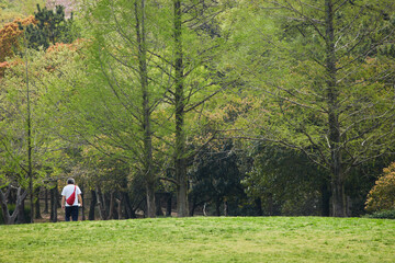春の新緑の公園で散歩しているシニア女性の姿