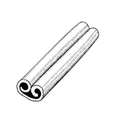 Cinnamon stick, hand drawn sketch vector illustration, vintage engraving isolated on white background.