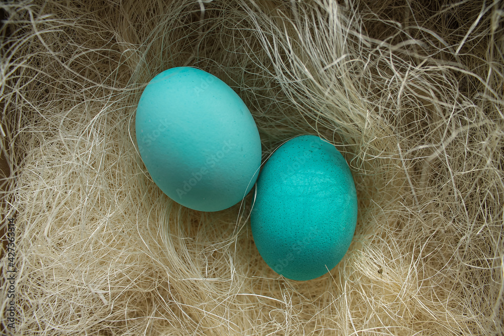 Wall mural painted eggs for the Easter holiday