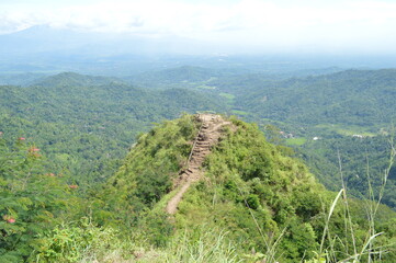 landscape in the morning