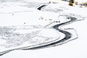 Aerial view of long winding black road through mountain range snow covered landscape. Looking down on sheep and fence in icy conditions all alone winter alpine conditions. Drone shot of curves hills