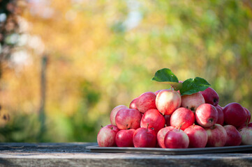 Juicy red apples  on the table  on a beautiful natural garden background. Apple harvest theme, space for text