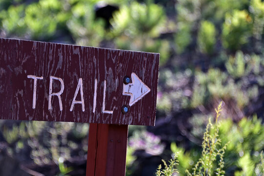 wooden sign with the word TRAIL and an arrow pointing right
