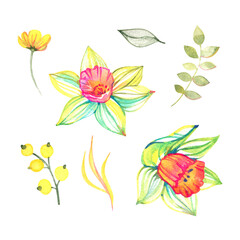 Watercolor hand painted flowers. Can be used as background for web pages, wedding invitations, greeting cards, postcards, patterns, prints, textile design, package design and so on.