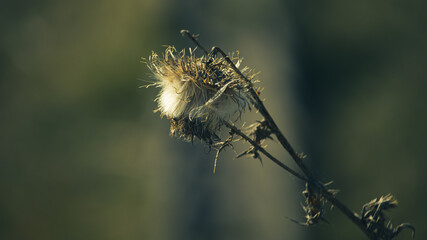 head © Marcin