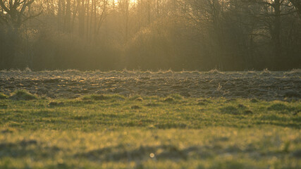 mist over swamp © Marcin