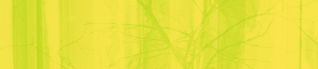 Naklejka na ściany i meble abstract lime and yellow colors background