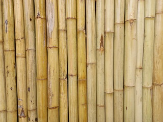 Bamboo fence background.