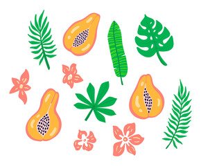Fruits set of papaya with flowers, tropic leaves isolated on white background. Tropical logo papaya with palm leaf in hand drawn style. Bright vector illustration fruits, hawaiian jungle floral