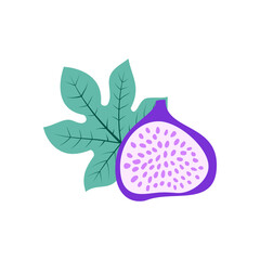 Figs vector illustration. Half of figs, seeds and leaves in cartoon style. Isolated on white background
