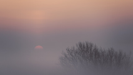 misty morning sunrise © Marcin