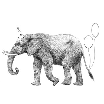Beautiful stock illustration with cute hand drawn birthday elephant.
