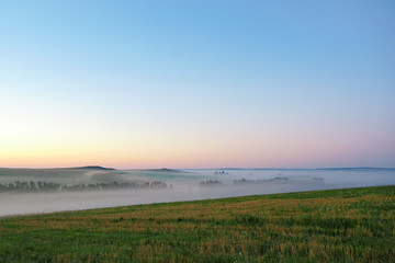 Sunrise over a field of grain on a foggy spring day. Rural landscape, countryside at dawn. Landscape.