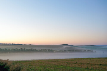 Fototapeta na wymiar Sunrise on a field covered with wild flowers in summer season with fog and trees with a cloudy sky background in morning. Landscape.