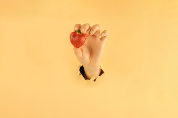 The girl holds with her fingers a red ripe strawberry. A woman's hand in torn paper holds a berry....