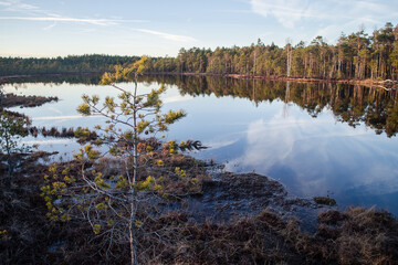 Kalnansu swamp with lake, Kabile, Latvia