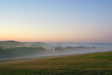 Obraz premium Sunrise on a field covered with wild flowers in summer season with fog and trees with a cloudy sky background in morning. Landscape.