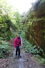 Obraz premium Wandern im Lattengrund, Saechische Schweiz