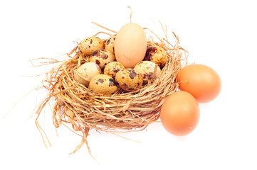 Eggs on a white background