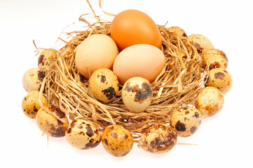 Eggs on a white background
