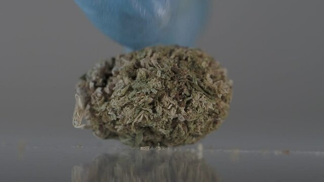 medical marijuana dry bud cannabis plants