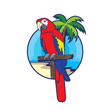 Parrot bird and palm tree vector, perfect for tshirt and all  type merchandise design
