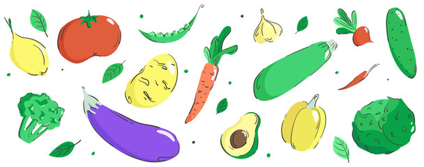 Set of various vegetables and herbs. Multi-colored zucchini, cucumber, peppers, tomatoes, eggplant, onions, garlic and herbs on a white background. Vector illustration