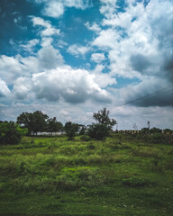 landscape with trees and sky