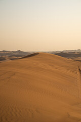 Fototapeta na wymiar andscape of desert dunes at sunset on a windy day