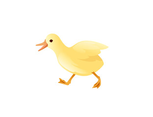 Cute baby duck yellow little chick cartoon animal design vector illustration on white background