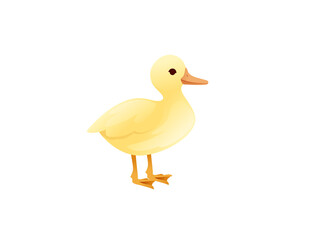 Cute baby duck yellow little chick cartoon animal design vector illustration on white background